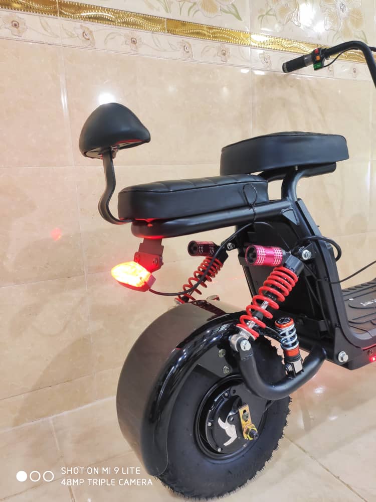 موتور سیکلت برقی هارلی ( اسکوتر برقی ) دونفره مارک روهان وینگز  rohan wings  مدل ۲۰۲۴